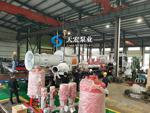 10萬GT郵輪專用船塢排水泵客戶驗(yàn)收完成交付
